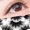 Heavenly Magnetic Lashes (7pcs)